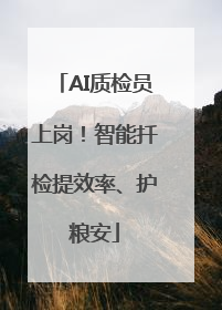 AI质检员上岗！智能扦检提效率、护粮安