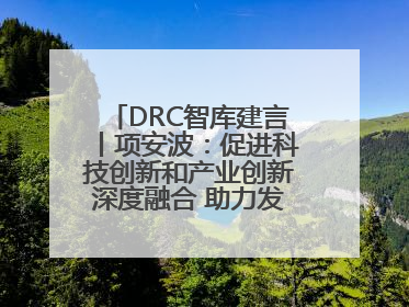 DRC智库建言丨项安波：促进科技创新和产业创新深度融合 助力发展新质生产力